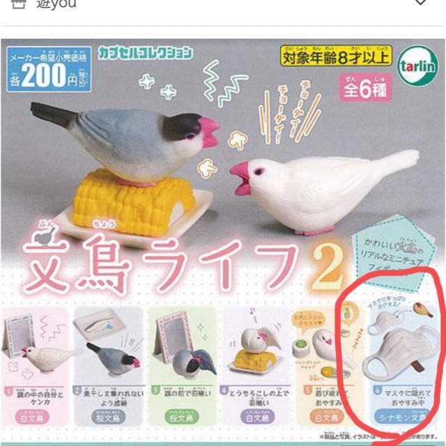 文鳥ライフ2 シナモン文鳥　ガチャガチャ エンタメ/ホビーのフィギュア(その他)の商品写真