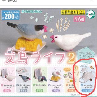 文鳥ライフ2 シナモン文鳥　ガチャガチャ(その他)