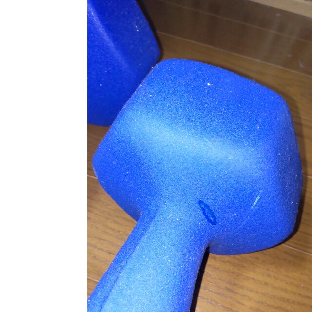 ダンベル10kg2個 スポーツ/アウトドアのトレーニング/エクササイズ(トレーニング用品)の商品写真