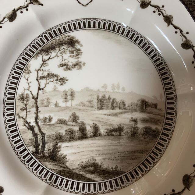 WEDGWOOD - 限定品 ウェッジウッド フロッグサービス クイーンズウェア 