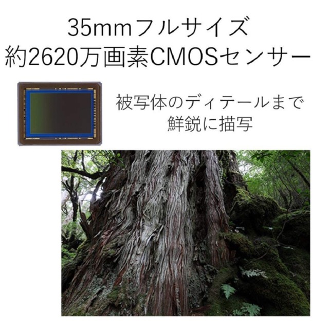 Canon デジタル一眼レフカメラ EOS 6D Mark II ボディー