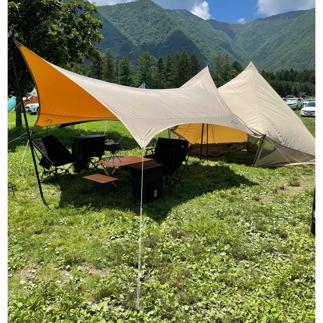 よちんさん専用 サバティカル ルピネM 低価格 www.gold-and-wood.com