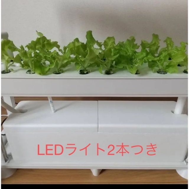 ハンドメイド水耕栽培キット ホームハイポニカ（PLAABO ）プラーボ　LEDライト付き