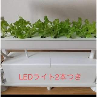 水耕栽培キット ホームハイポニカ（PLAABO ）プラーボ　LEDライト付き