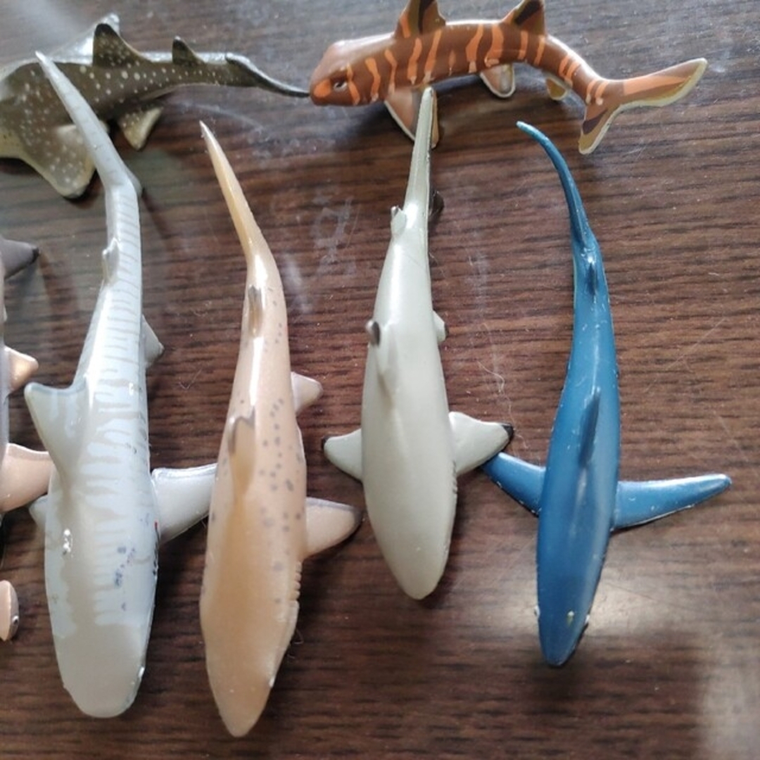 サメ  フィギュア エンタメ/ホビーのおもちゃ/ぬいぐるみ(キャラクターグッズ)の商品写真