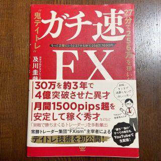 ガチ速ＦＸ ２７分で２５６万を稼いだ“鬼デイトレ”(ビジネス/経済)