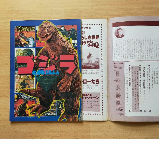 特撮映画『ゴジラ』の紹介本 エンタメ/ホビーの雑誌(その他)の商品写真