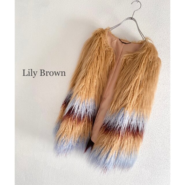 Lily Brown(リリーブラウン)のLily Brown ファーコート vivi掲載品 川口春奈 レディースのジャケット/アウター(毛皮/ファーコート)の商品写真