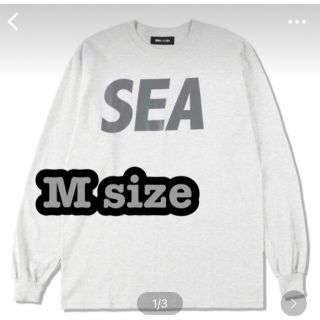 ウィンダンシー(WIND AND SEA)のWIND AND SEA  ロンT グレーMサイズ(Tシャツ/カットソー(七分/長袖))