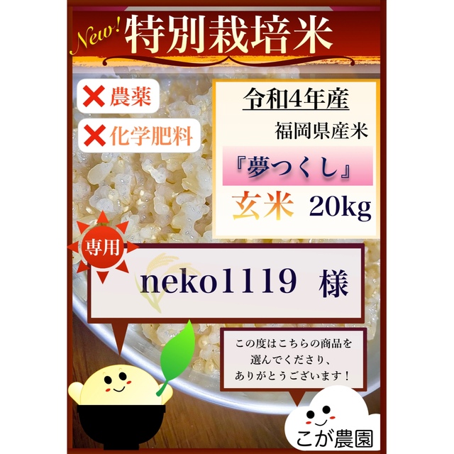 【neko1119様　専用】特別栽培米 福岡県産米『夢つくし』玄米　20kgのサムネイル