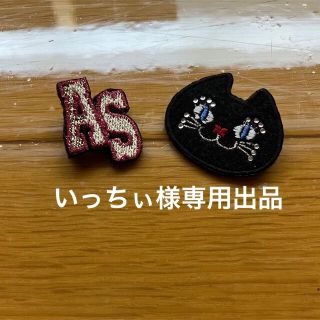 アナスイ(ANNA SUI)のピンバッチ(ブローチ/コサージュ)