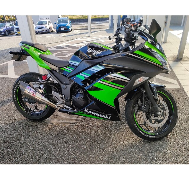 Ninja 250