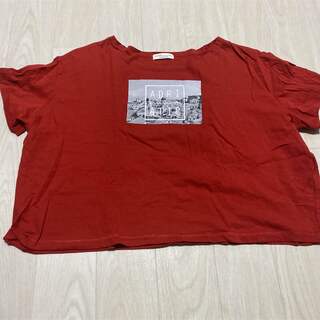 アースミュージックアンドエコロジー(earth music & ecology)のTシャツ(Tシャツ(半袖/袖なし))