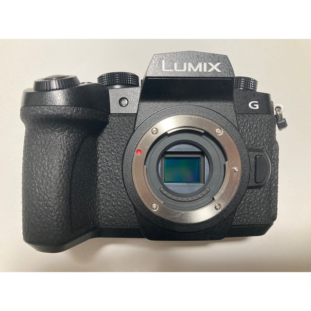 Panasonic LUMIX DC-G99 ショット数1,900回以下-