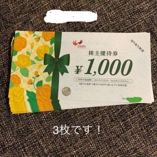 コシダカホールディングス　まねきねこ　株主優待 3000円分(ショッピング)