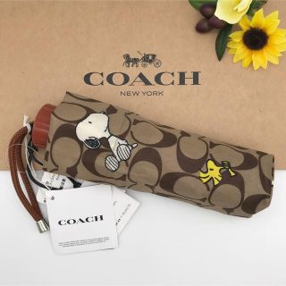 コーチ(COACH) 日傘/雨傘の通販 500点以上 | コーチのレディースを買う