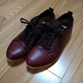 マドラス(madras)のマドラス　プロコンフォート　26㌢(その他)