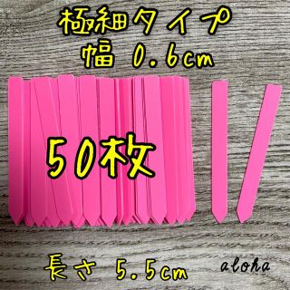 ピンク　50枚 多肉植物 アガベ サボテンに◎ 園芸用 ラベル ネームラベル(その他)