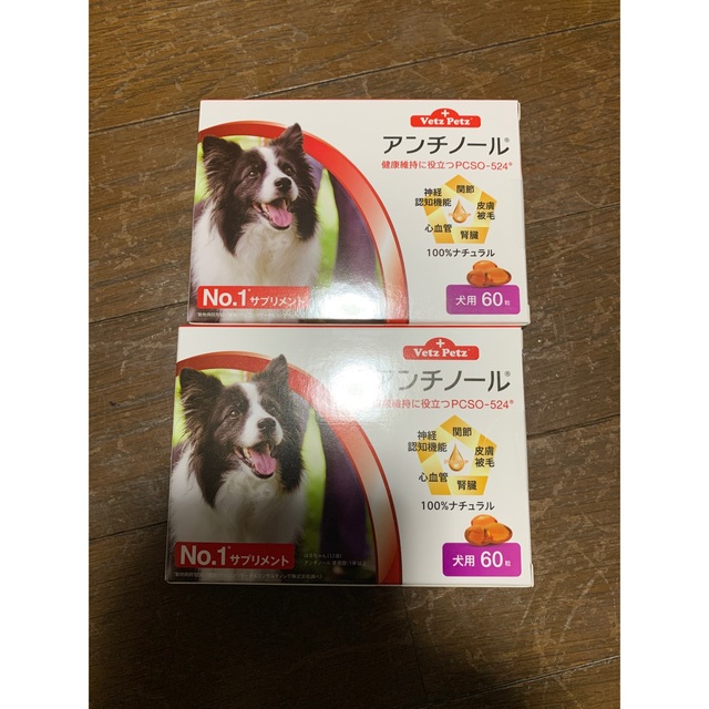 ペット アンチノール犬用60粒2箱セットの通販 by まるこ屋|ラクマ