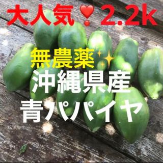 大人気❣️無農薬栽培✨沖縄産青パパイヤ✨2.2k分✅(野菜)