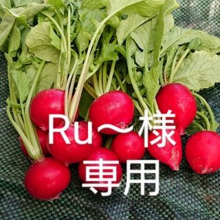 Ru～様専用(野菜)