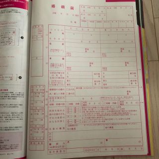 ピンクの婚姻届 書き方付き クリアファイル付き 婚姻届(印刷物)