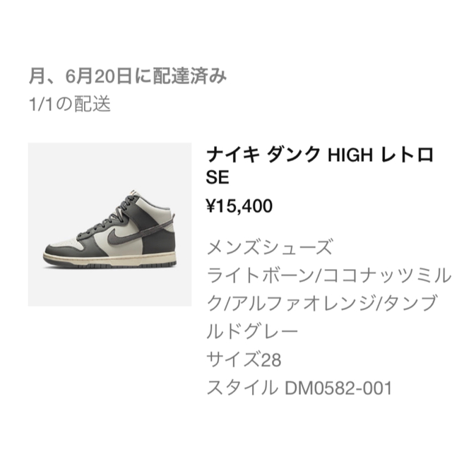 NIKE DUNK HIGH RETRO SE VNTG US10 28cm 5