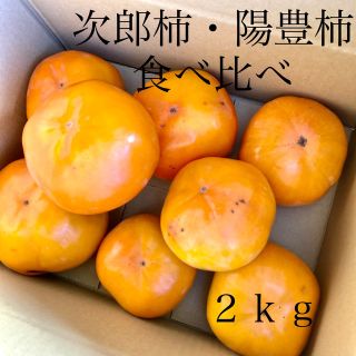 次郎柿・陽豊柿　２ｋｇ　食べ比べセット　(フルーツ)