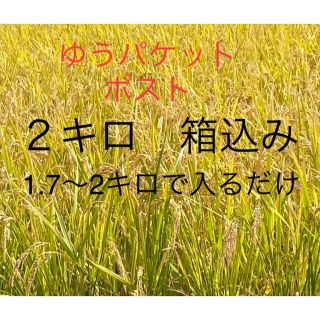 令和4年　新米　ヒノヒカリ　2キロ(米/穀物)