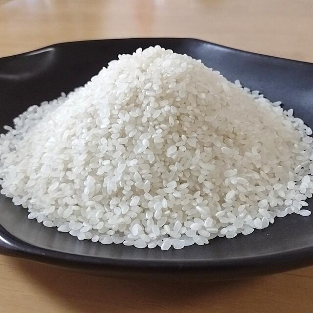 Kyan様専用】新米 令和4年度 茨城県産コシヒカリ 玄米10kg 1等米