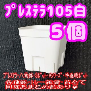 【スリット鉢】プレステラ105白5個 多肉植物 プラ鉢(プランター)