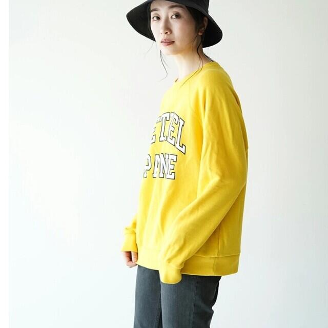 試着のみTHE SHINZONE BETEL PAYNE PULLOVER