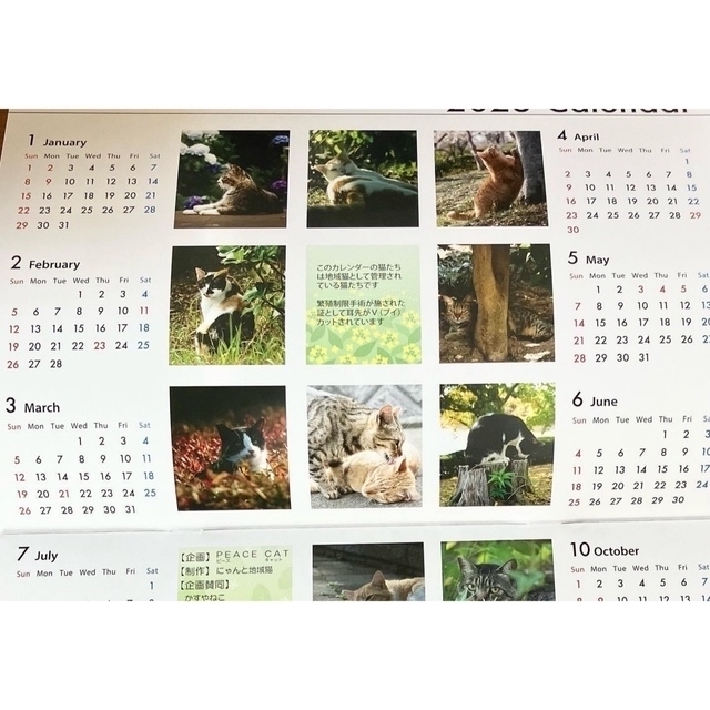 地域猫カレンダー2023＆ドリップコーヒー1袋付 インテリア/住まい/日用品の文房具(カレンダー/スケジュール)の商品写真
