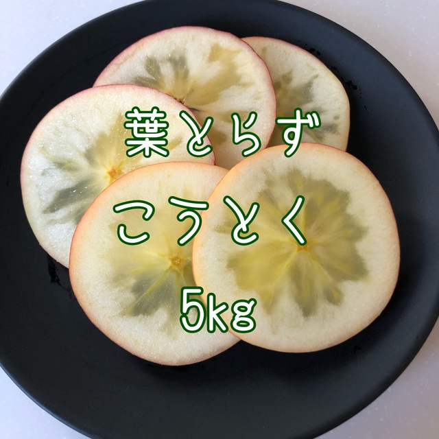 青森りんご 葉とらず こうとく 5kg 食品/飲料/酒の食品(フルーツ)の商品写真