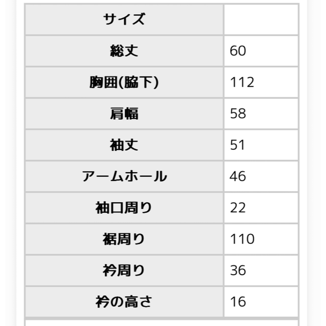 antiqua(アンティカ)のアンティカ ニット レディースのトップス(ニット/セーター)の商品写真