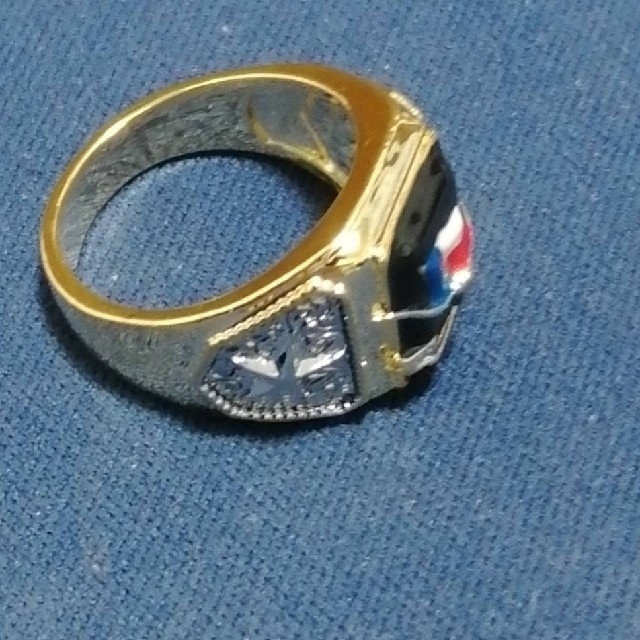 【SALE】リング メンズ アクセサリー ウシ バッファロー 牛 指輪 22号 メンズのアクセサリー(リング(指輪))の商品写真