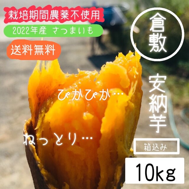 【10kg】倉敷安納芋 新物 さつまい【栽培期間農薬不使用】