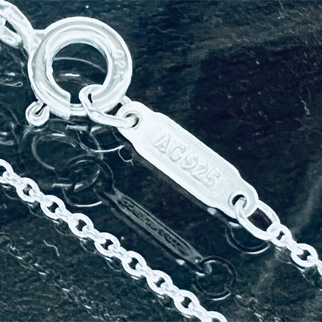 TIFFANY & CO. x NIKE ティファニー × ナイキ ネックレス TIFFANY & CO. x NIKE ティファニー × ナイキ ネックレス