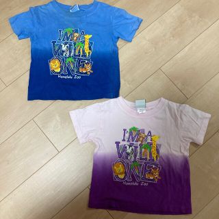 ホノルル動物園　Tシャツ2枚　100(Tシャツ/カットソー)