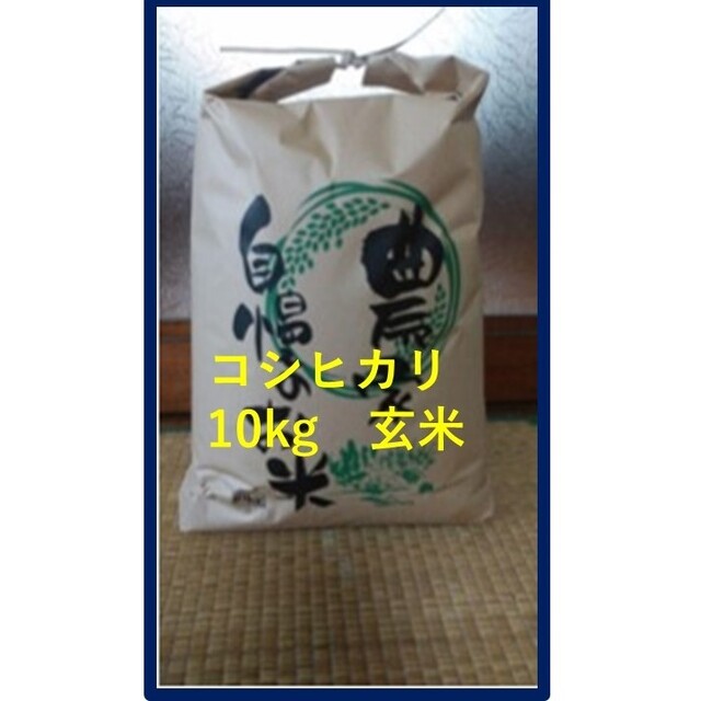 コシヒカリ玄米10kg(農協出荷は一等米)山形県産　令和４年産　米/穀物