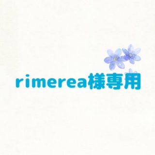 rimerea様専用.*(ヘアアイロン)