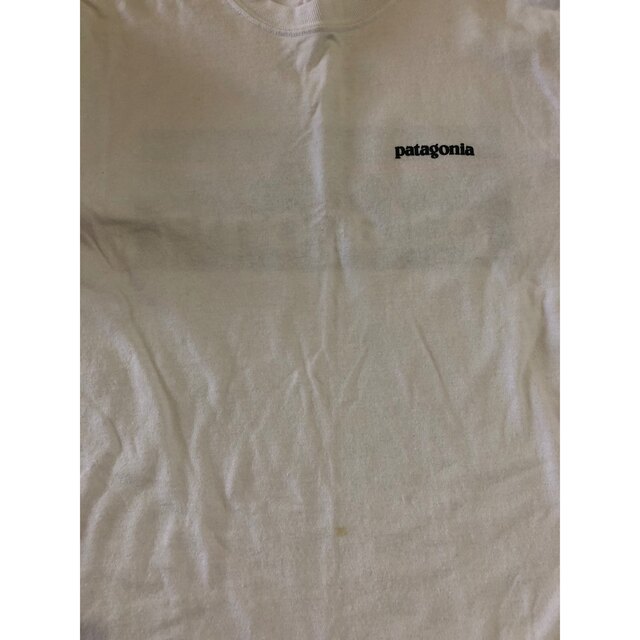 patagonia(パタゴニア)のpatagoniaロンT メンズのトップス(Tシャツ/カットソー(七分/長袖))の商品写真