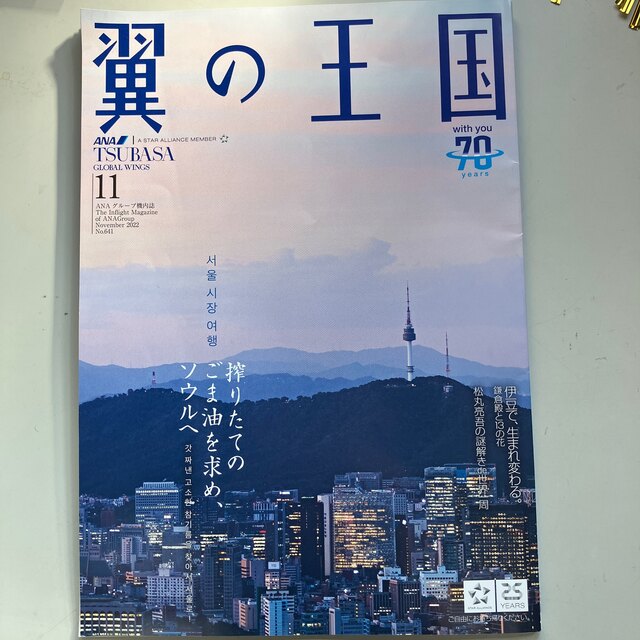 ANA(全日本空輸)(エーエヌエー(ゼンニッポンクウユ))の翼の王国202211月号 エンタメ/ホビーのテーブルゲーム/ホビー(航空機)の商品写真