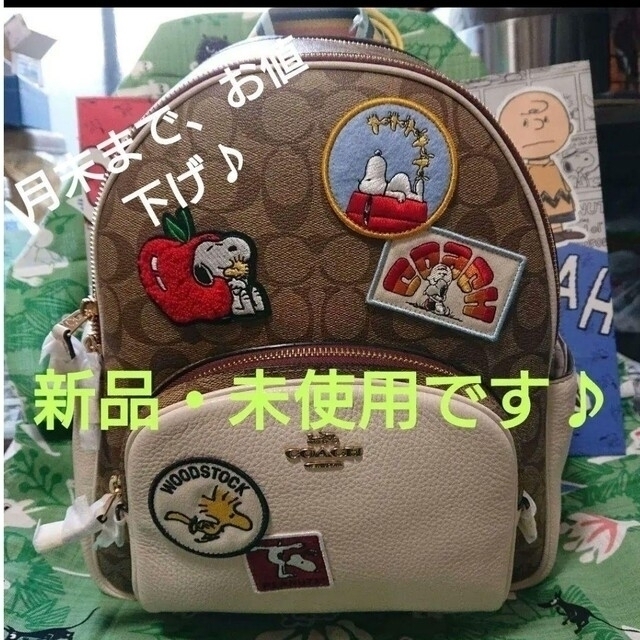 新品本物 COACH 【新品】COACH シグネチャー ワッペン スヌーピーコラボ リュック コーチ リュック+バックパック 