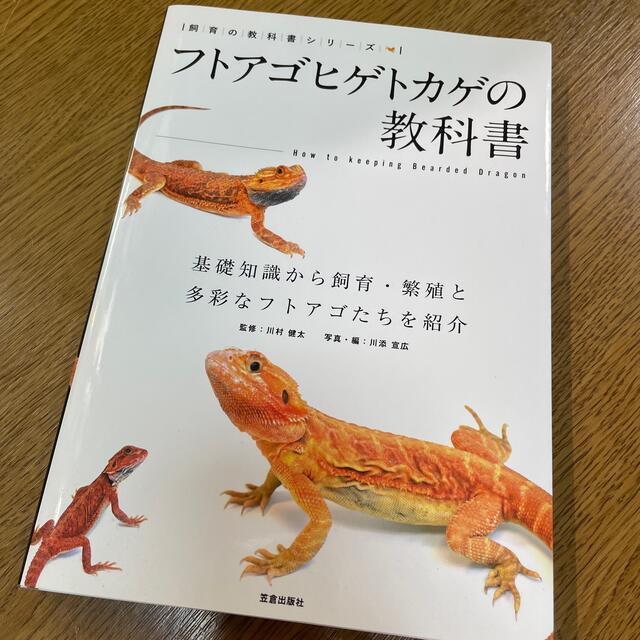 フトアゴヒゲトカゲの教科書 基礎知識から飼育・繁殖と多彩なフトアゴたちを紹介 エンタメ/ホビーの本(住まい/暮らし/子育て)の商品写真