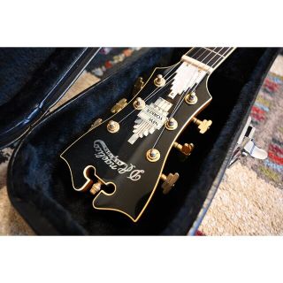 D'Angelico Limited edition DC NY(エレキギター)