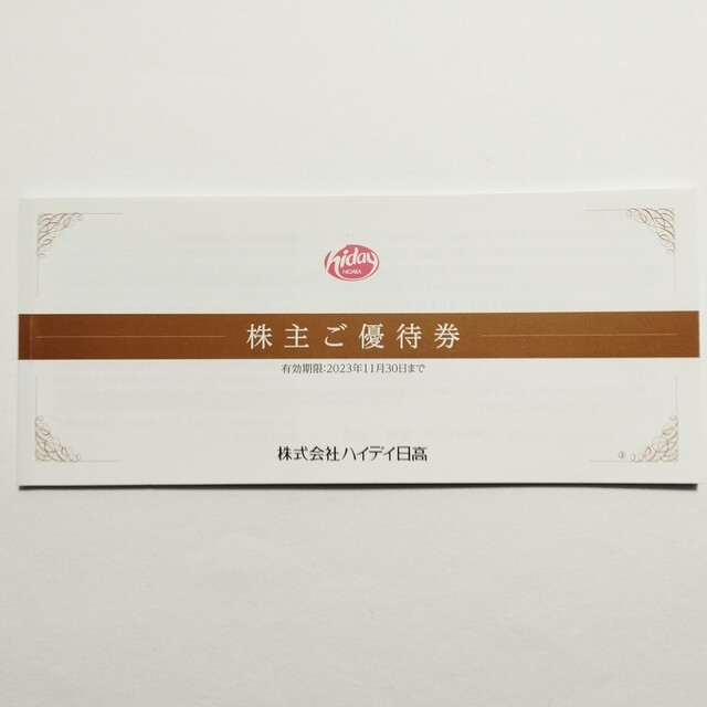 ハイデイ日高 日高屋 株主優待券 1万円分 有効期限2023年11月30日まで