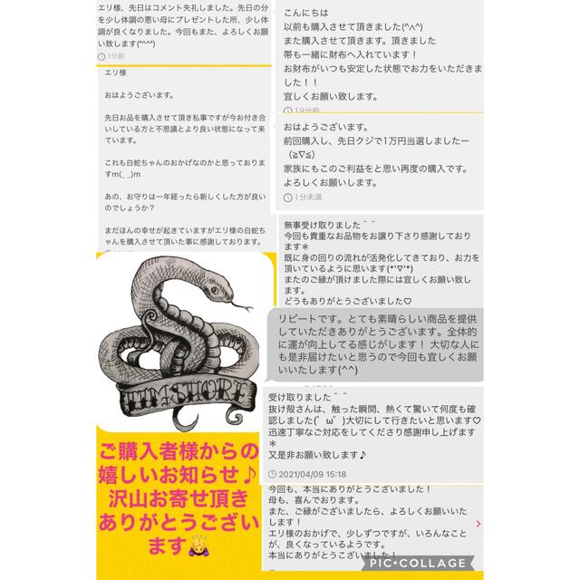 白蛇の抜け殻⭐️巳年生まれが育てるヘビのお守り☆産道【天赦日・甲子 ...