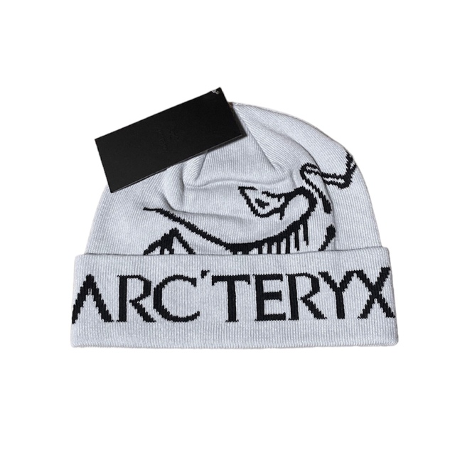 【新品未使用】Arc'teryx Bird word toque ビーニー