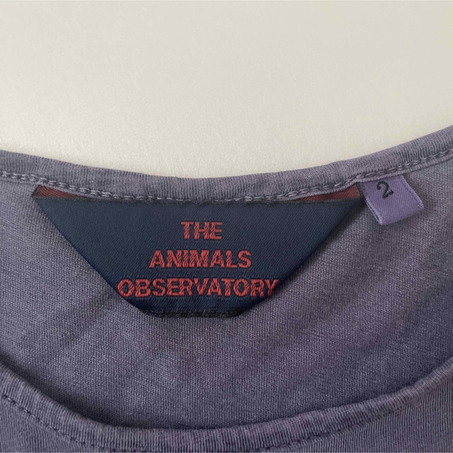 こども ビームス(コドモビームス)のThe animal observatory 2y キッズ/ベビー/マタニティのキッズ服男の子用(90cm~)(Tシャツ/カットソー)の商品写真